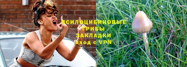 мяу мяу кристалл Гусь-Хрустальный