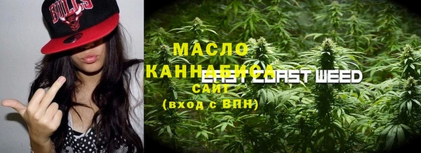мяу мяу кристалл Гусь-Хрустальный