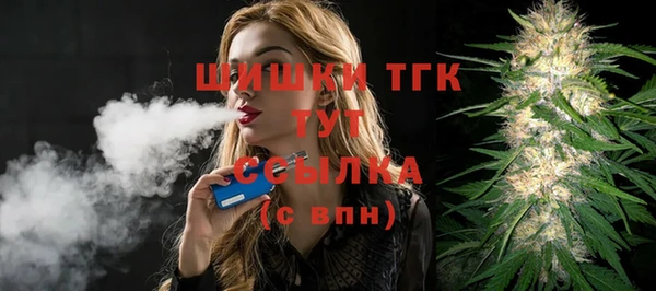 мяу мяу кристалл Гусь-Хрустальный