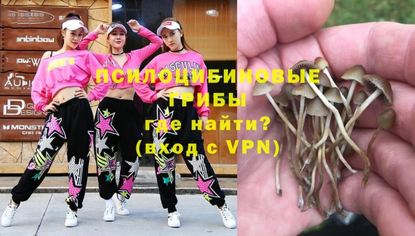 меф Гусиноозёрск