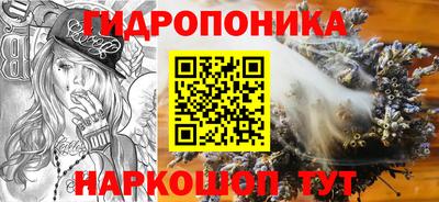 mdma Камышлов