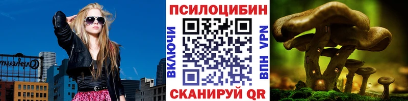 кракен зеркало  Обнинск  Псилоцибиновые грибы Magic Shrooms  цена наркотик 