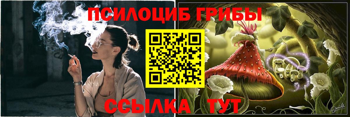 Галлюциногенные грибы MAGIC MUSHROOMS  Галлюциногенные грибы мицелий  цена   Обнинск  Вход с VPN 